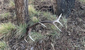 Tbd Dry Creek Road, Belgrade, MT 59714