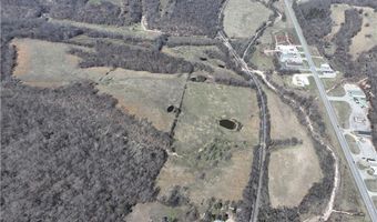 178 Acres Bug Scuffle Ln, Anderson, MO 64831