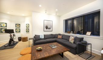 1263 Bunny Ct 1, Aspen, CO 81611