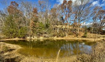 1520 Brittontown Rd, Afton, TN 37616