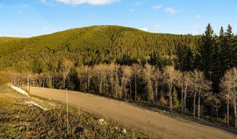 NHN Lime Spur Road, Anaconda, MT 59711