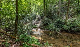 1034 Chestnut Flats Rd, Andrews, NC 28901