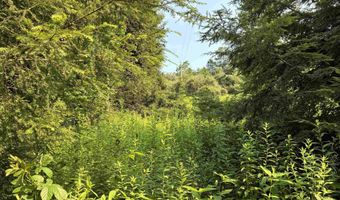 Woolen Mills Road lot B, Albright, WV 26519