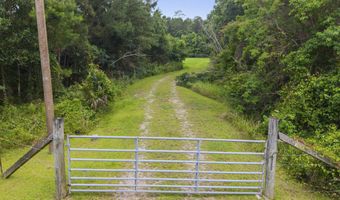 1441 Blue Meadow Rd, Bay St. Louis, MS 39520