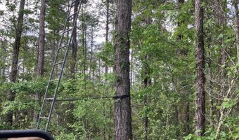 40 Acres Forestry Road 356, Beaumont, MS 39423