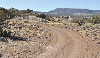 32 N8429, Concho, AZ 85924