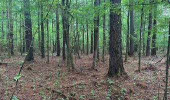 2780 Jackson Liberty Rd, Bogue Chitto, MS 39629