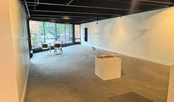 620 E Hyman Ave 2, Aspen, CO 81611