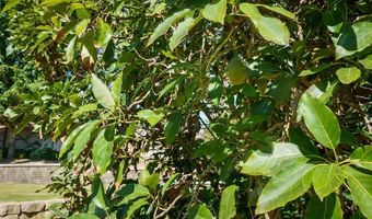 1139 Big Oak Ranch Rd, Fallbrook, CA 92028