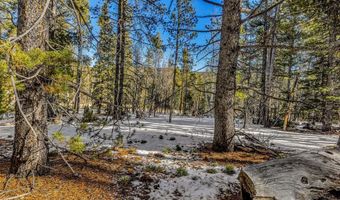 COUNTY ROAD 19 lot 0, Alma, CO 80420
