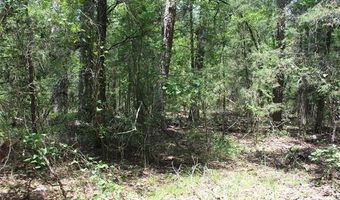 5 E 1909 Rd, Antlers, OK 74523