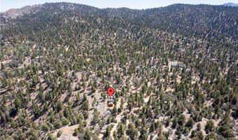4295 Noodle, Angelus Oaks, CA 92305