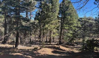 Taos Dr lot 173, Angel Fire, NM 87710