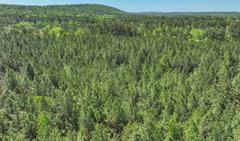 489 FOURWING LAKE Rd Lot 0, Alabaster, AL 35007
