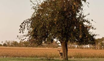 1680 2000 Rd, Bartlett, KS 67332