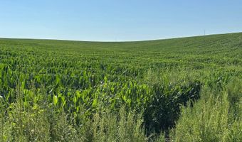 834 Th Rd 542nd Ave, Battle Creek, NE 68752