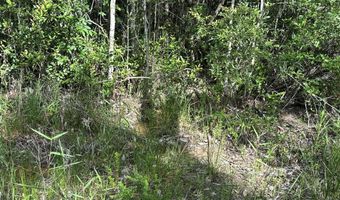 80 AC Old River Rd, Baker, FL 32531
