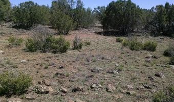 Tbd CR 8026, Concho, AZ 85924