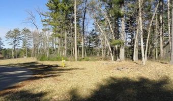 Lot 15 Fly Rod Trail, Wisconsin Rapids, WI 54494
