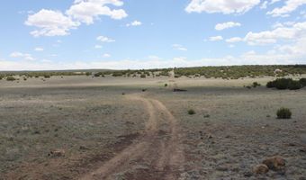N8190, Concho, AZ 85924