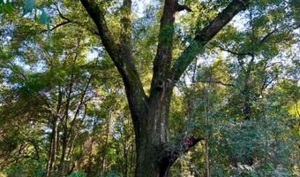 8645 Moores Mill Creek Rd, Baker, FL 32531