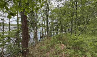 Tract 1 East Bay Road, Atkins, AR 72823