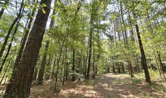 0 Champion Hill Rd, Bolton, MS 39041