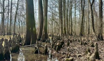 Putnam Road, Belzoni, MS 39038