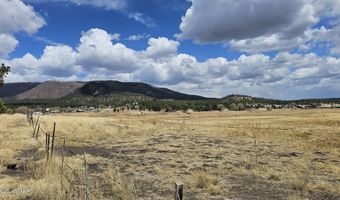15 County Road 2065, Alpine, AZ 85920