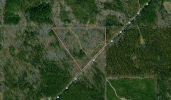 3 Highway 790, Ackerman, MS 38963