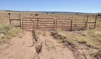 986 Concho Hwy, Concho, AZ 85924