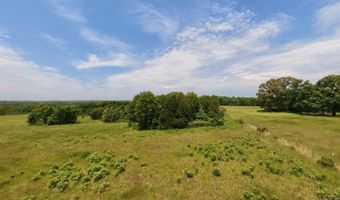N County Road 113, Alton, MO 65606