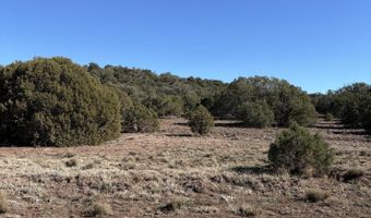 N8716, Concho, AZ 85924