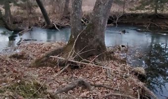 4775 S 50th Rd, Aldrich, MO 65601