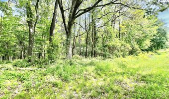 16400 28 Mile Rd, Albion, MI 49224