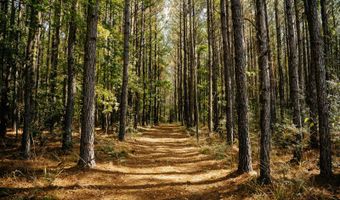 971 Somerset Rd SE, Bogue Chitto, MS 39629