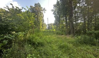 137 Shorter Rd, Braxton, MS 39044