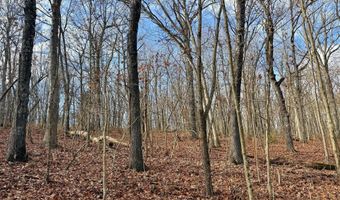 Farm Rd 1187 Lc, Ash Grove, MO 65604