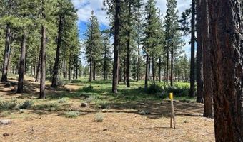 191 Cartwright Ct 246, Carson City, NV 89705