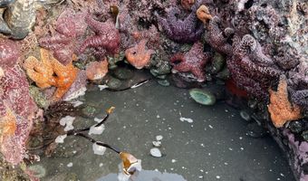 97818 HANSCAM Ln, Brookings, OR 97415