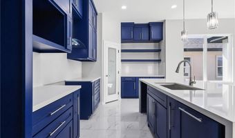419 Serg Loop, Alamo, TX 78516