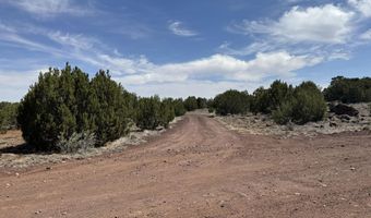 5 County Road 8077, Concho, AZ 85924