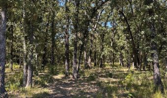 Saddle Creek Ct. lot 19, Alba, TX 75410