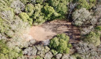 County Road 72, Ariton, AL 36311