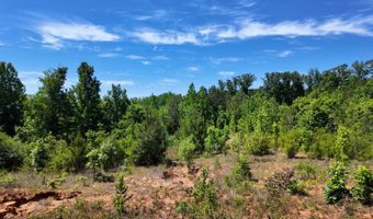 County Road 38, Autaugaville, AL 36003