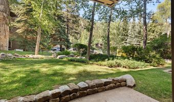 610 S West End St D105, Aspen, CO 81611