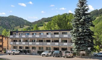 100 E Dean St 2D, Aspen, CO 81611