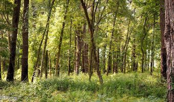 Cypress Pointe Drive lot 18, Brooksville, MS 39739