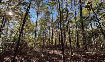 0 WALDROP Rd 10.82 Acres, Ashville, AL 35953