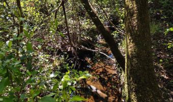 Noland Pond Road, Alford, FL 32420